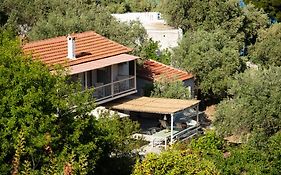 Traditional Houses Near The Sea 